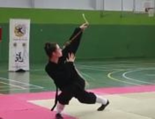 Castellón acoge el nacional de wushu-kungfu